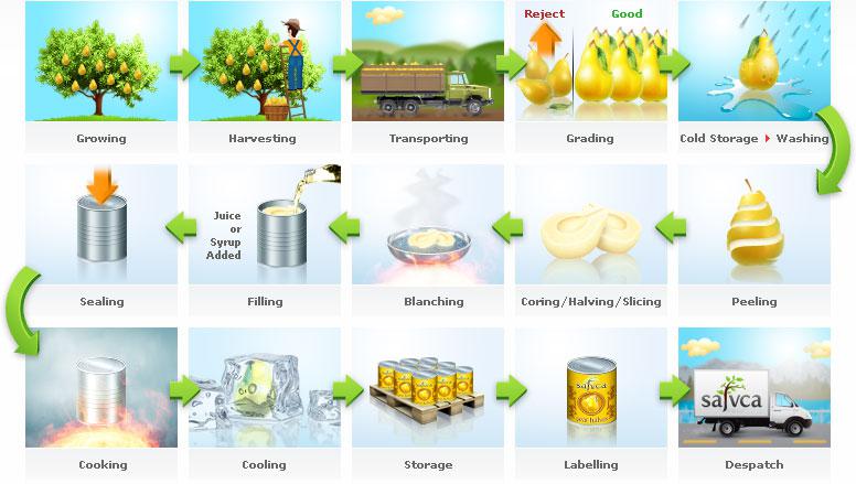 Fish Canning Process Flow Chart